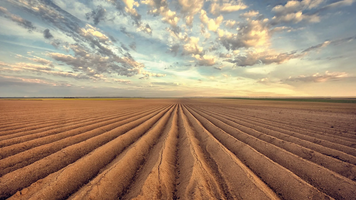 Источник: fertilizerdaily.ru