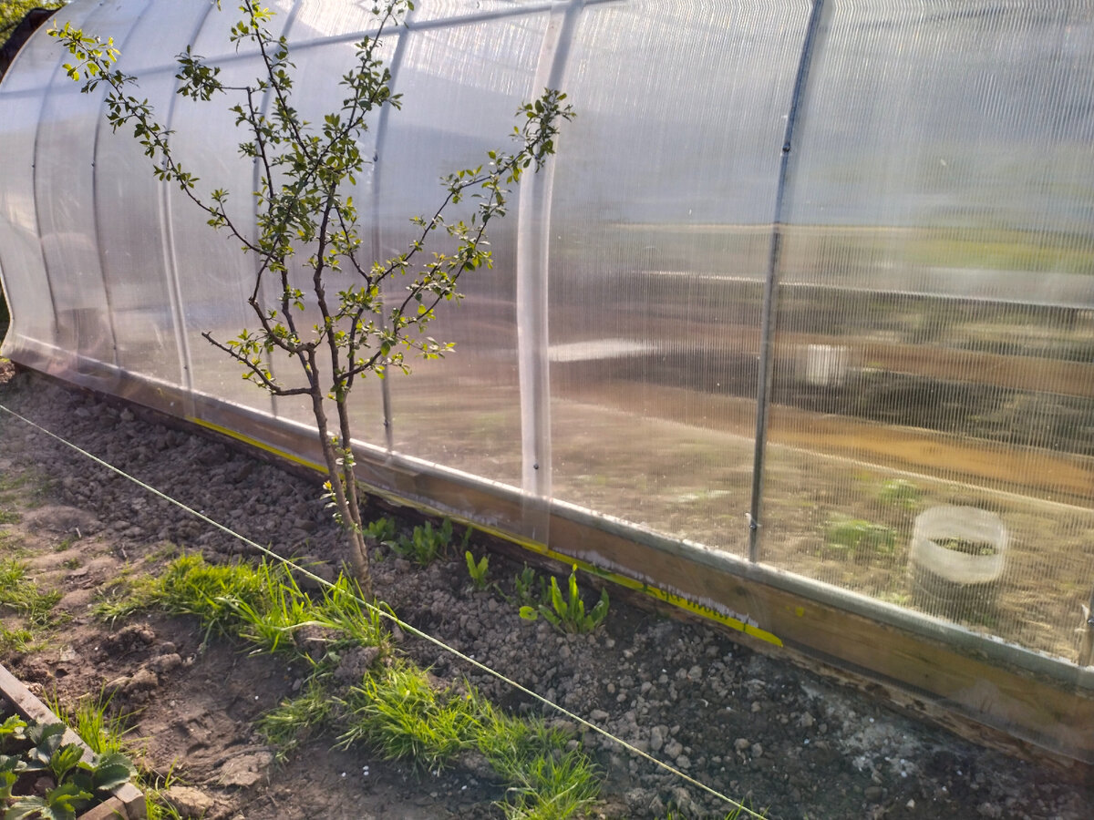 6 метров полезного пространства!)