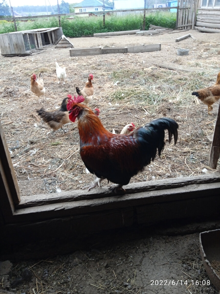 Наш генерал