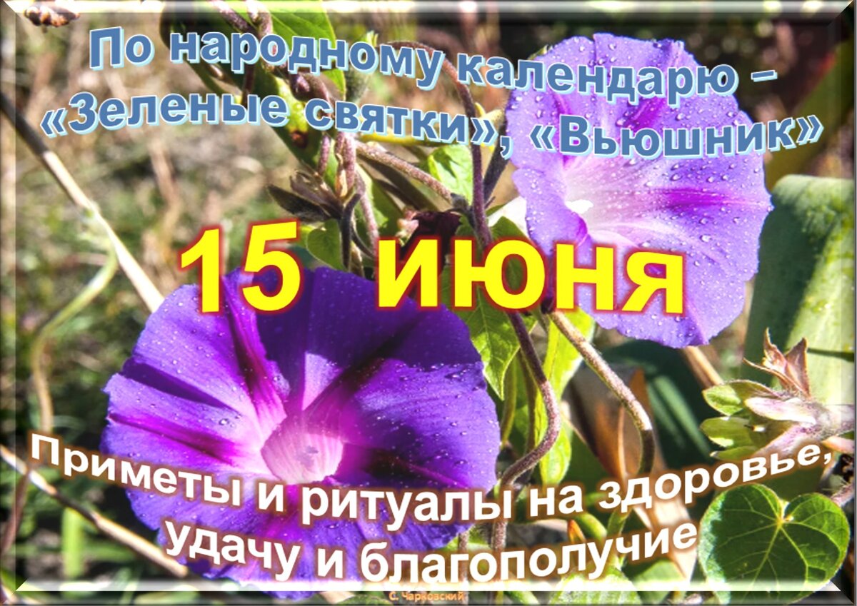 15 июня даты. Праздники сегодня 15 июня. 15 Июня приметы и традиции. Какой сегодня праздник. Народные приметы на 15 июня.