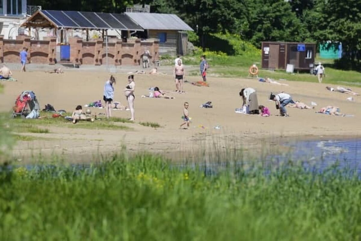    Санврачи призвали отказаться от отдыха на шести воронежских пляжах