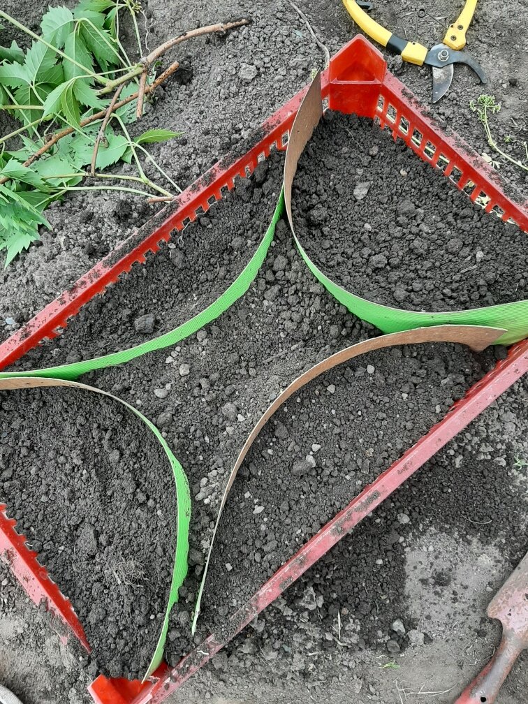 Вот такая общага получилась.