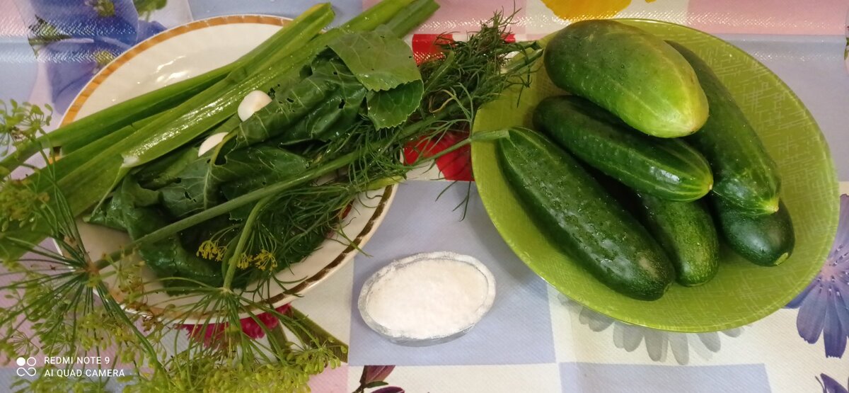 Пропорции следующие: огурчики 0,5 кг, пучок зелени (укроп и зелень и зонтики, лист хрена, листья чеснока, 2 зубчика молодого чеснока, 1 столовая ложка соли.