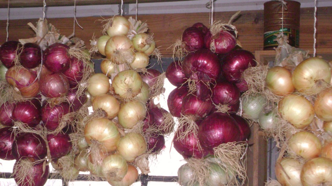 Автор и правообладатель данного изображения: https://gusiyabloni.com/sadogorod/hranenie/kak-hranit-ovoshhi-i-frukty-v-domashnih-usloviyah.html