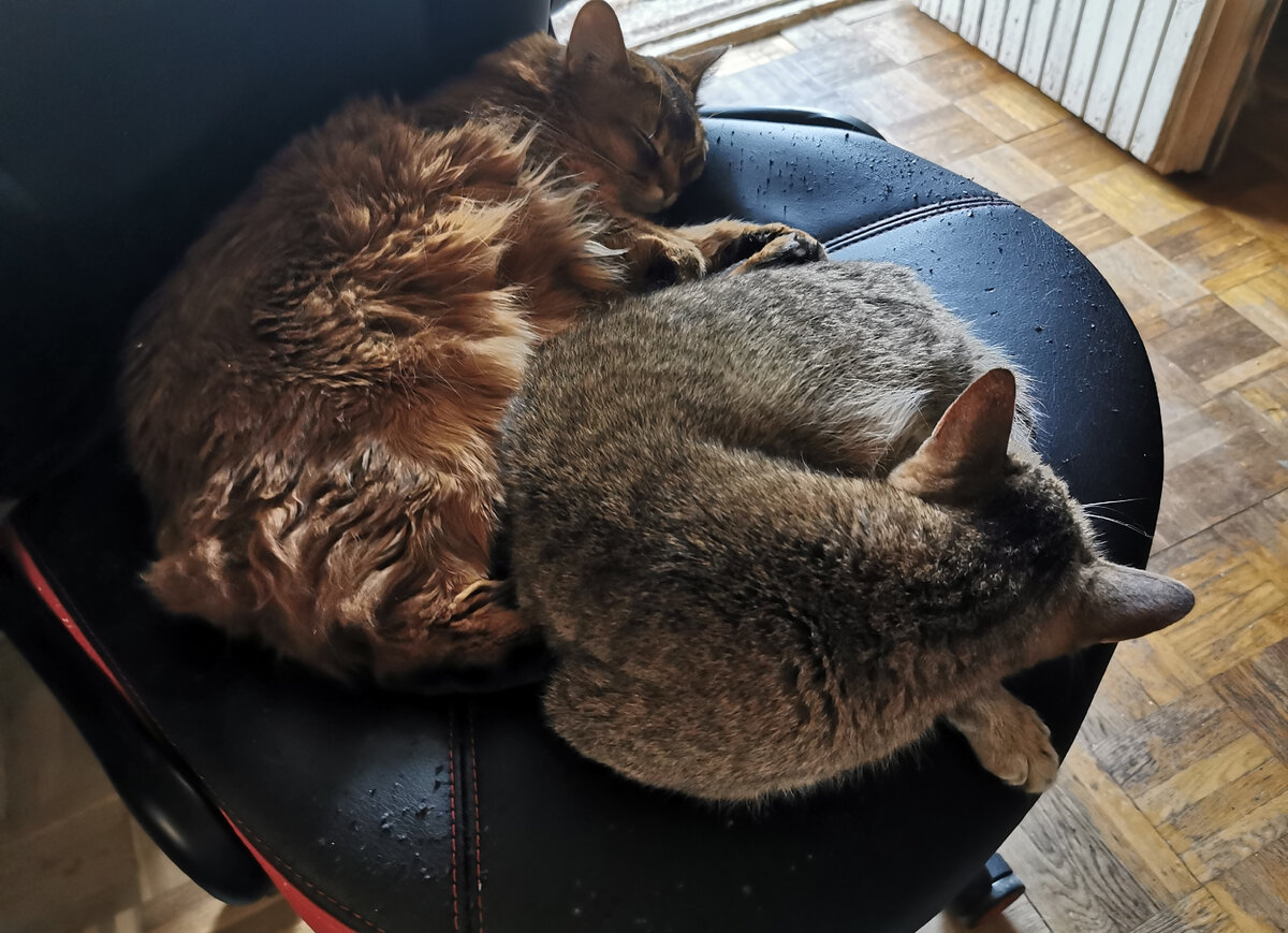 Фото из личного архива автора.