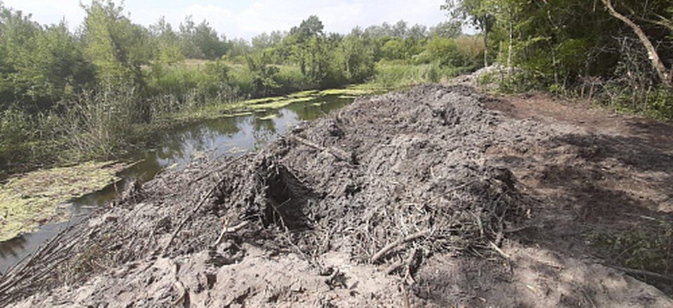     Фото с сайта Центрально-Черноземного межрегионального управления Росприроднадзора  Предоставлено