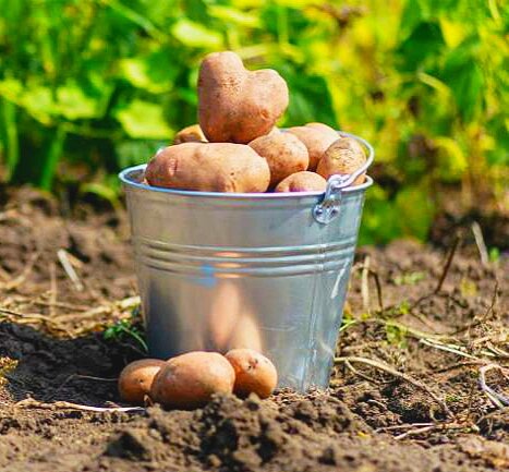 Фото из свободных источников