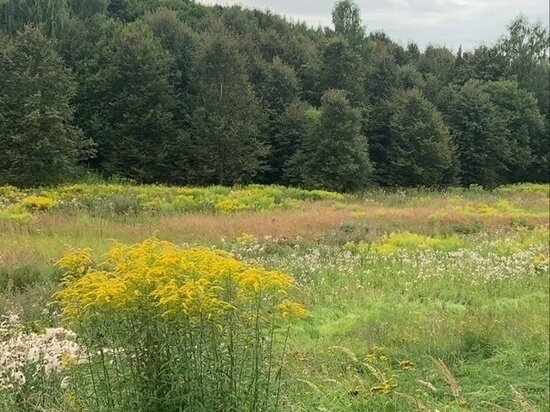     фото: мк в туле