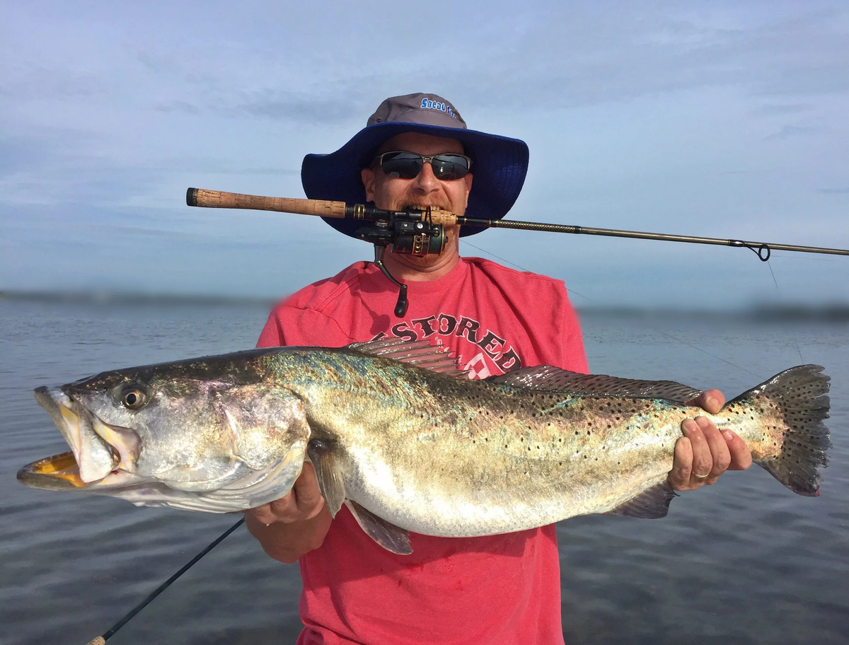 Discover fishing. Горбыль рыба Черноморский. Рыбалка на горбыля. Пятнистый горбыль. Красный горбыль рыба.