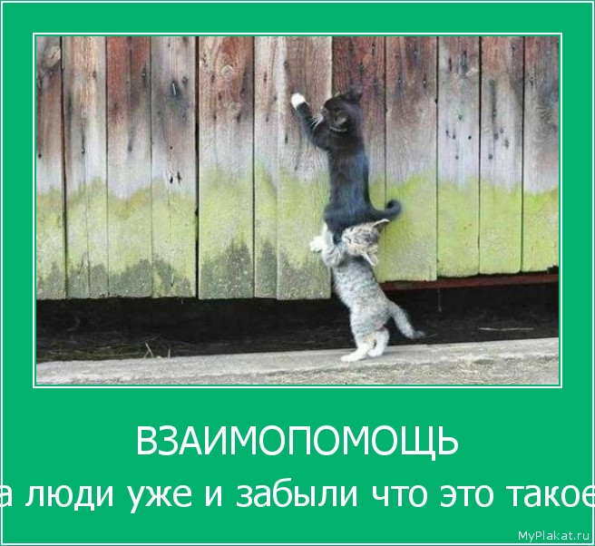 Бывает и так