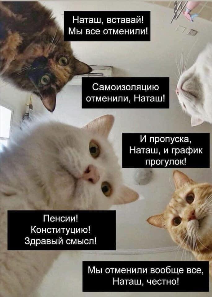 Песочница за 42 миллиона рублей – граждане просили