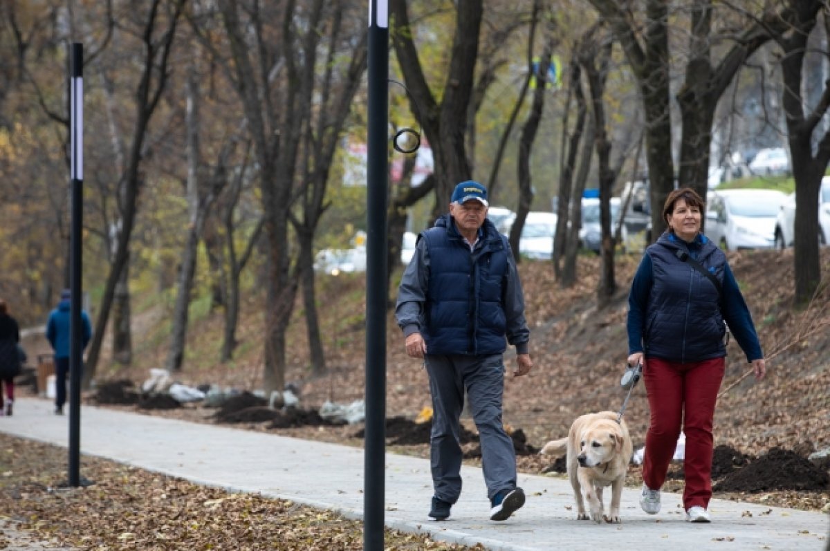    Владивостокцам предлагают пройти опрос, касающийся благоустройства скверов