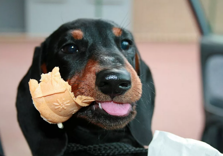 Фото с сервера Яндекс.Картинки
