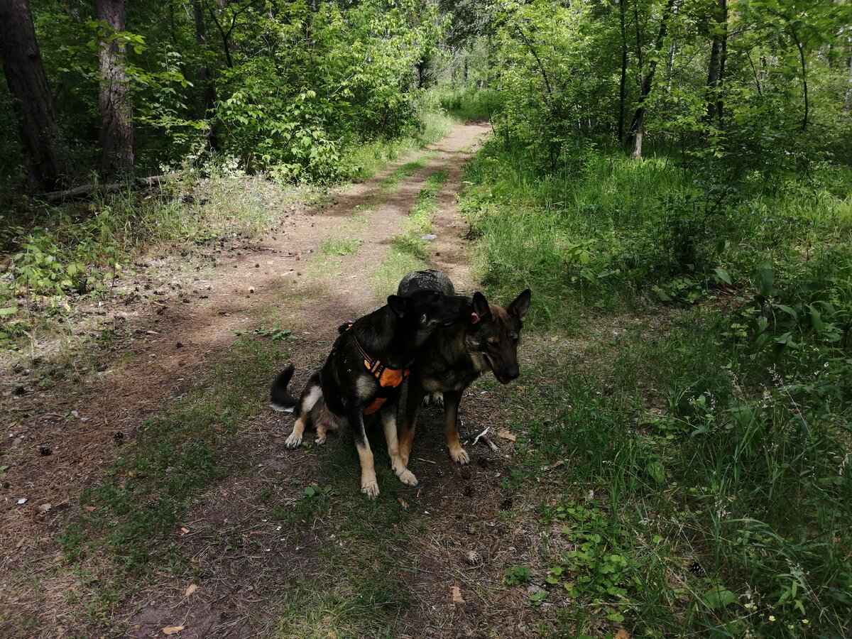 С любимой подружкой сегодня на прогулке