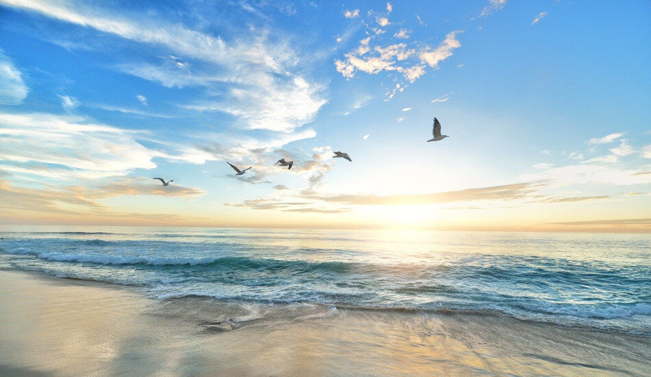 Вы можете погрузиться в звуки природы благодаря усилиям группы профессиональных звукорежиссёров со всего земного шара. (Image: via pixabay / CC0 1.0)