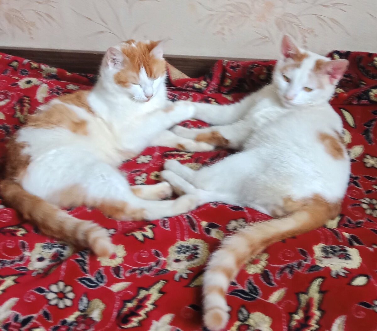 Ася и Шуня, гримеры