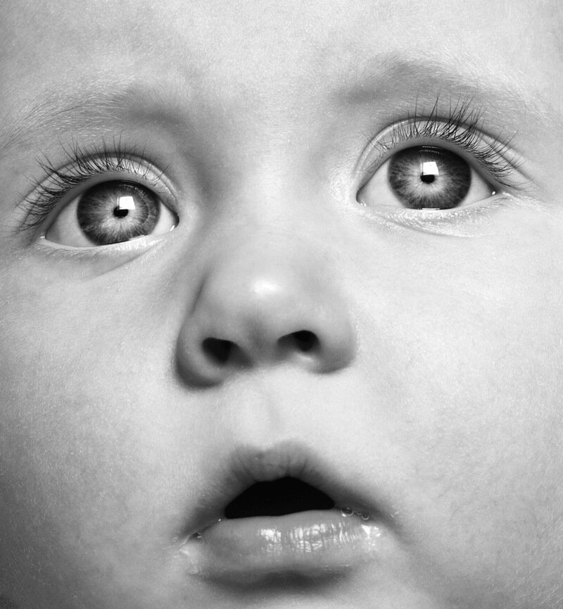 изображение с яндекс картинки