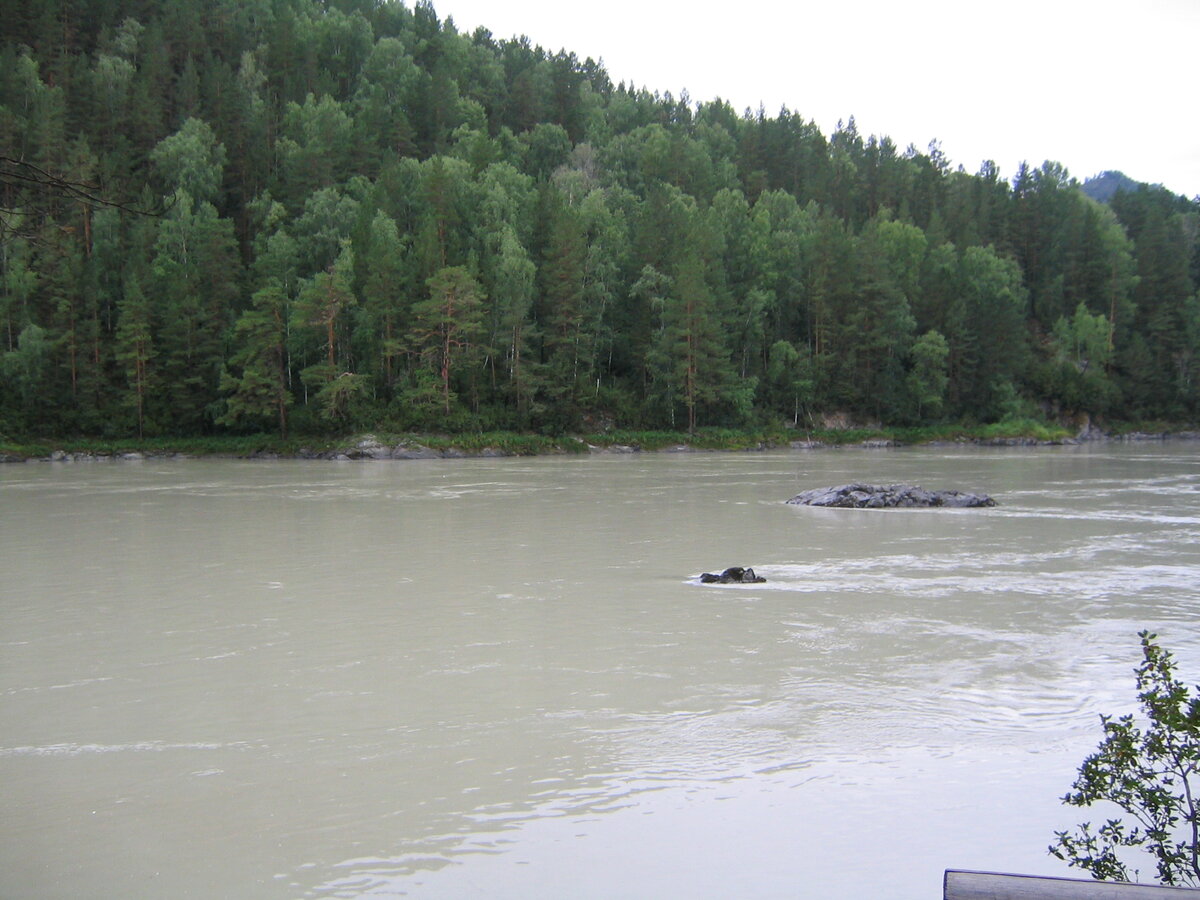 Непредсказуемая Катунь