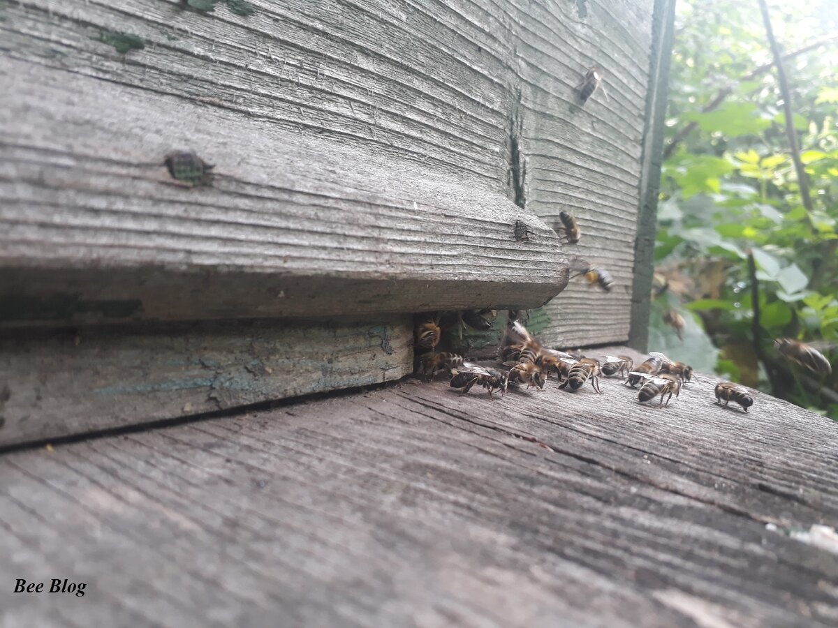 Работа кипит.