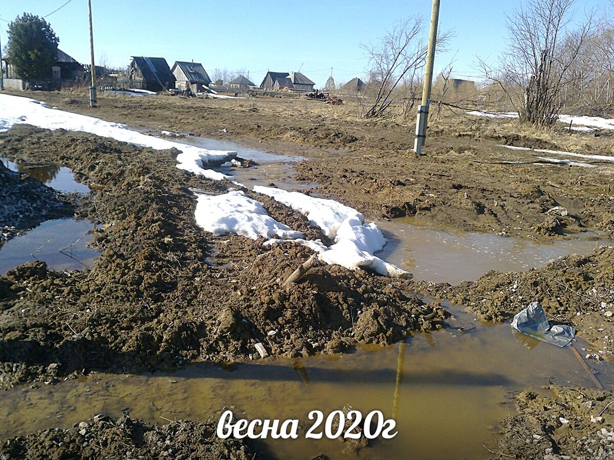 Почвы глинистые, замокающие. Во время дождей это глиняная болтушка, в засуху- каменная корка. Приходится вносить все, что есть под рукой. У нас есть лесопилка в селе, значит вносим опилки!