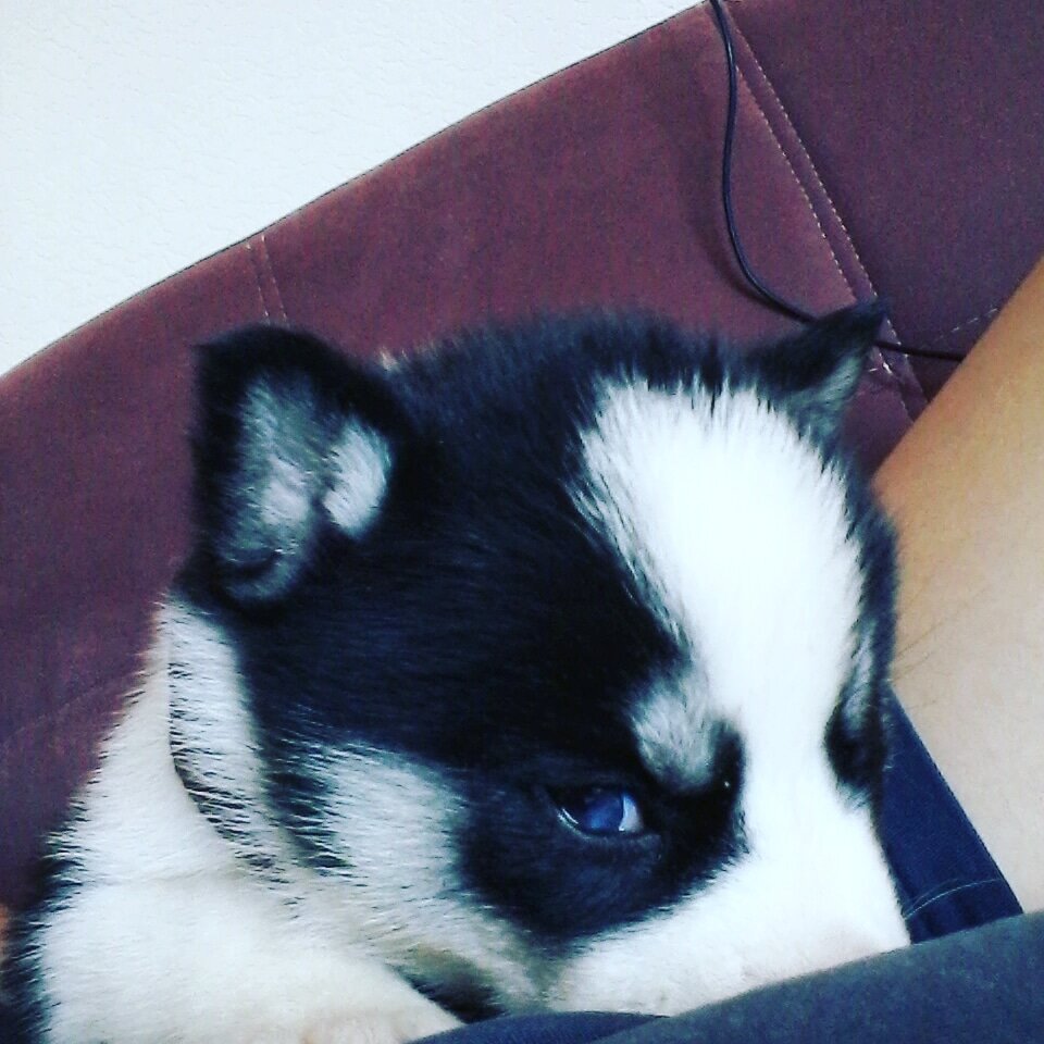 Из моих соц сетей: https://vk.com/photo344468261_456248257