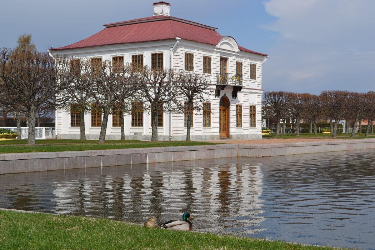 Санкт-Петербург, Выборг, Великий Новгород - до границы с Финляндией и  обратно (много фото) | autotripster | Дзен