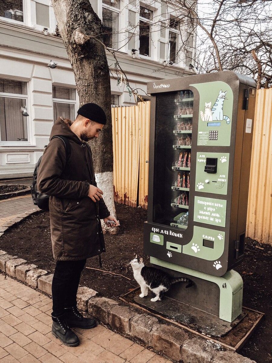 Кошачий министр пищевой промышленности.