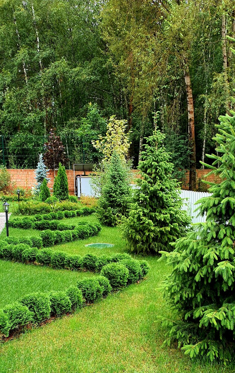 Сад, созданный  Компанией "ЛюксСад"