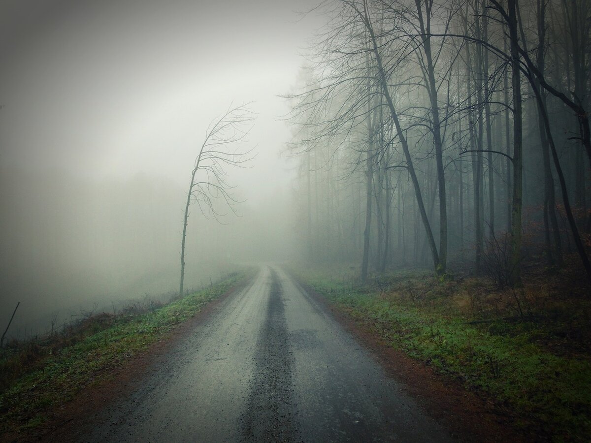 Фото: Яндекс