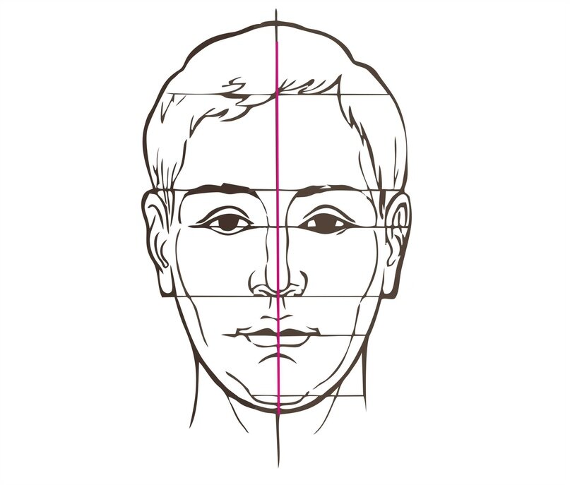 Пропорции лица. Портрет (конструкция головы человека. Анфас, профиль). Пропорции человеческого лица. Симметрия лица для рисования. Соотношение пропорций лица.