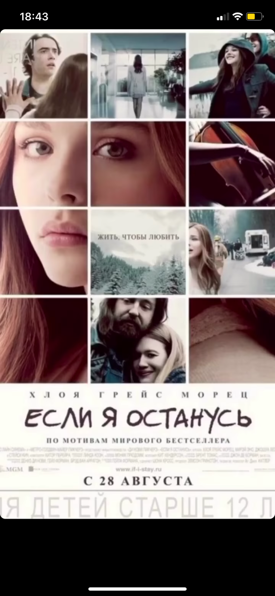 Оценка на тут:8,1