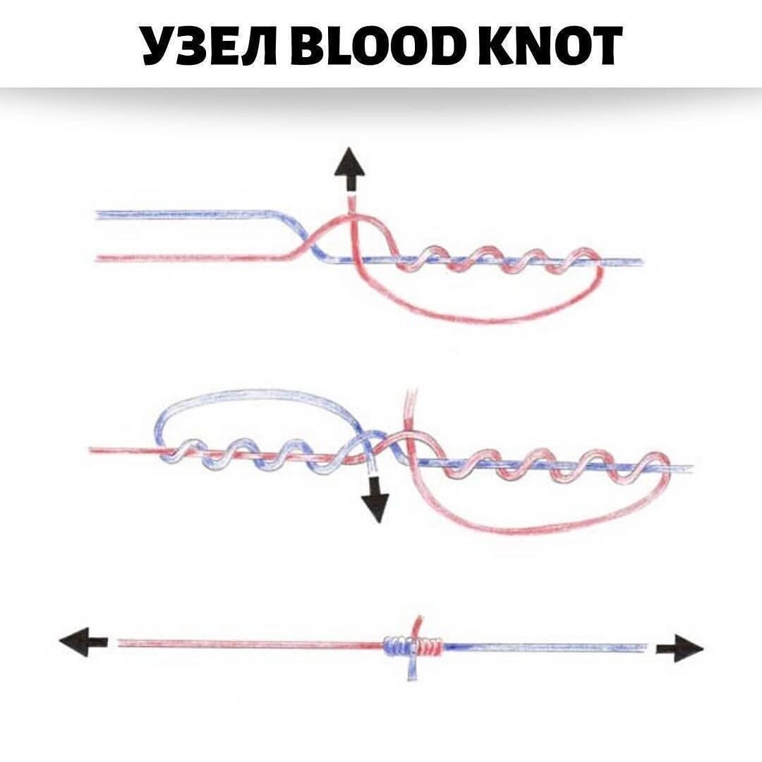 Узелок между. Узел ШОК Лидер леска с плетенкой для фидера. Узел для привязывания ШОК лидера. Узел для связывания лески и плетенки. Кровавый узел для связывания двух плетенок.