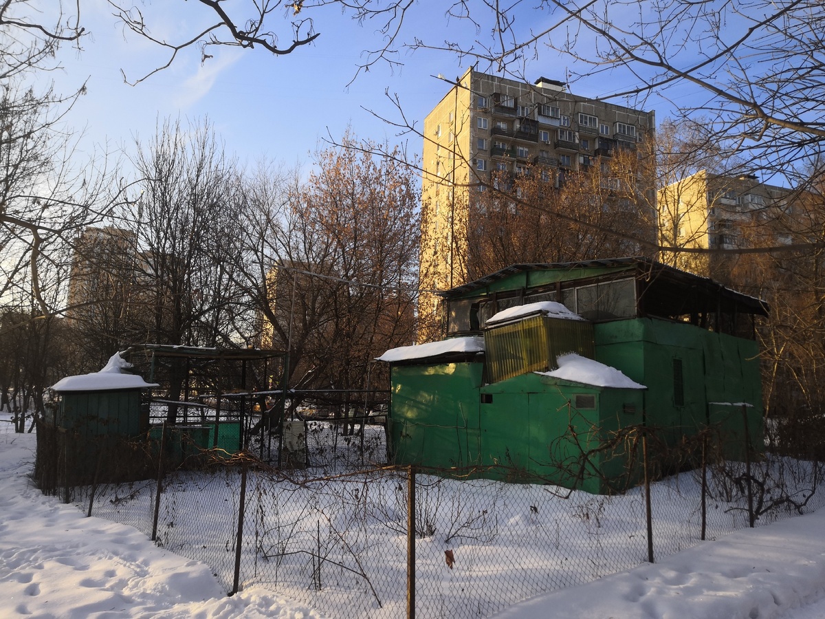 Целое поместье