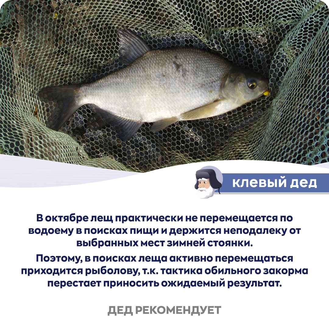 Все самое интересное о рыбаке! Подписывайтесь на нашу группу вконтакте и инстаграм. Ссылки в конце статьи или в профиле канала.