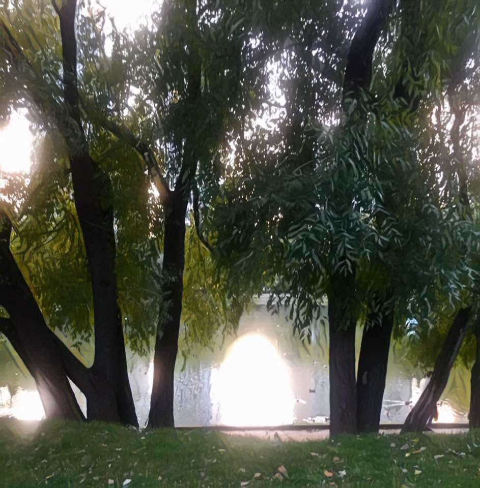 Фото КРЫМСКИЙ АНАЛИТИК Яндекс.Дзен