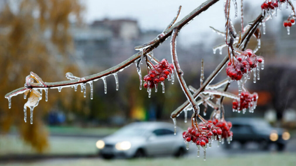 Фото для иллюстрации взято из открытых источников.