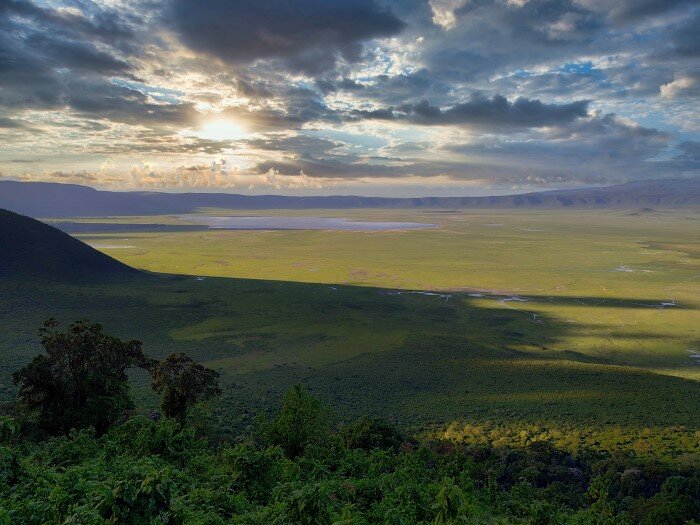 Elewana Tarangire Treetops