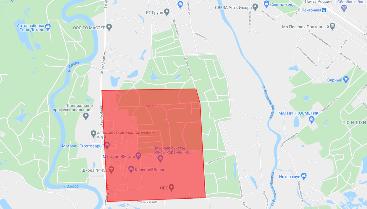 Скриншот с сайта rzt.spb.ru 