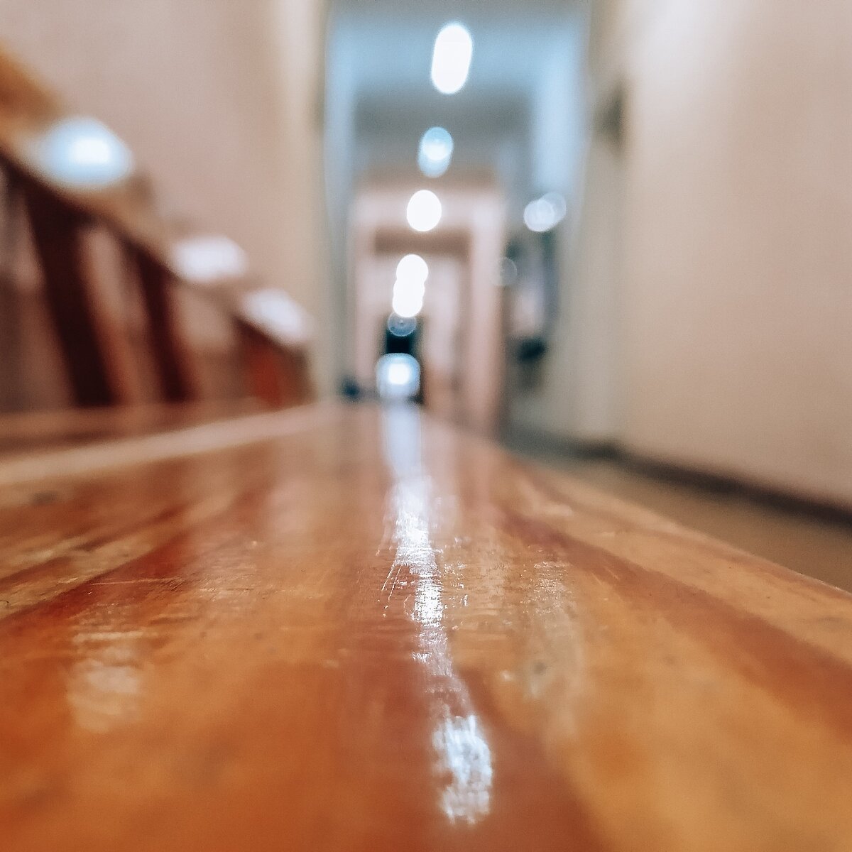 Скамья в университете, фото автора