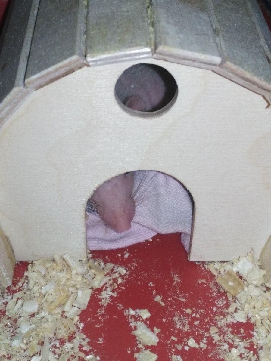 Спим в домике