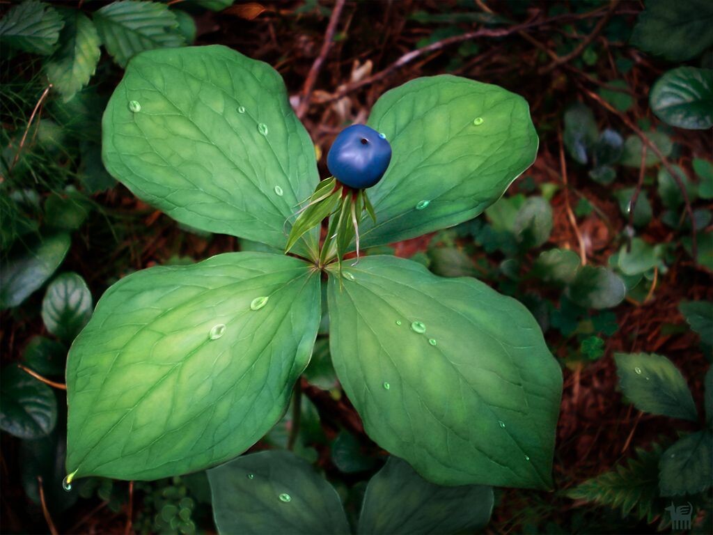 Фото из Яндекс.Картинки