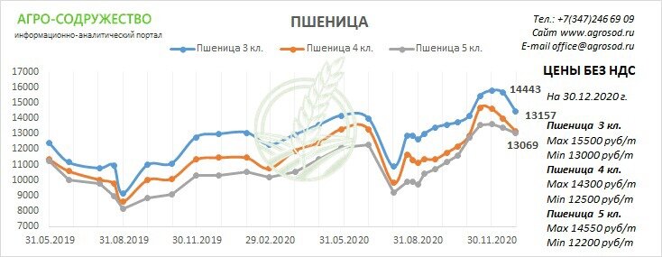 цена на пшеницу 3,4,5 классы, без НДС