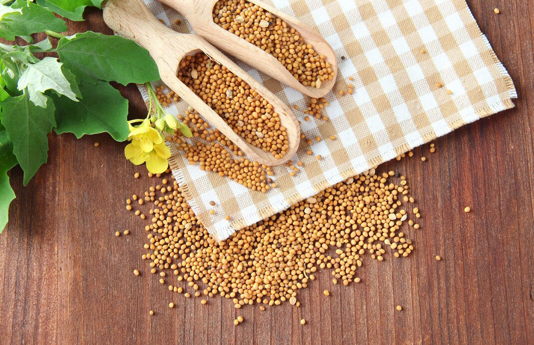 Семена горчицы - вот так они выглядят! Источник: яндекс картинки.