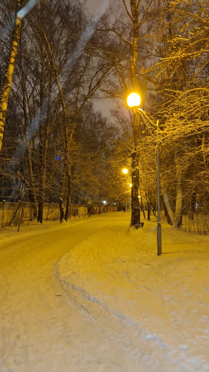 Фото автора. Давно наш парк не был таким беленьким!