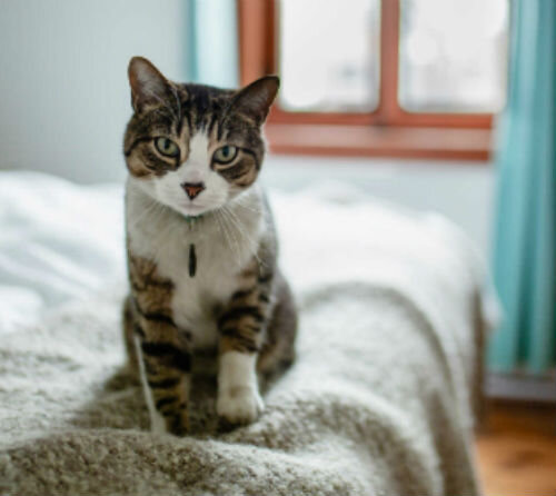 Снижение доверия к людям