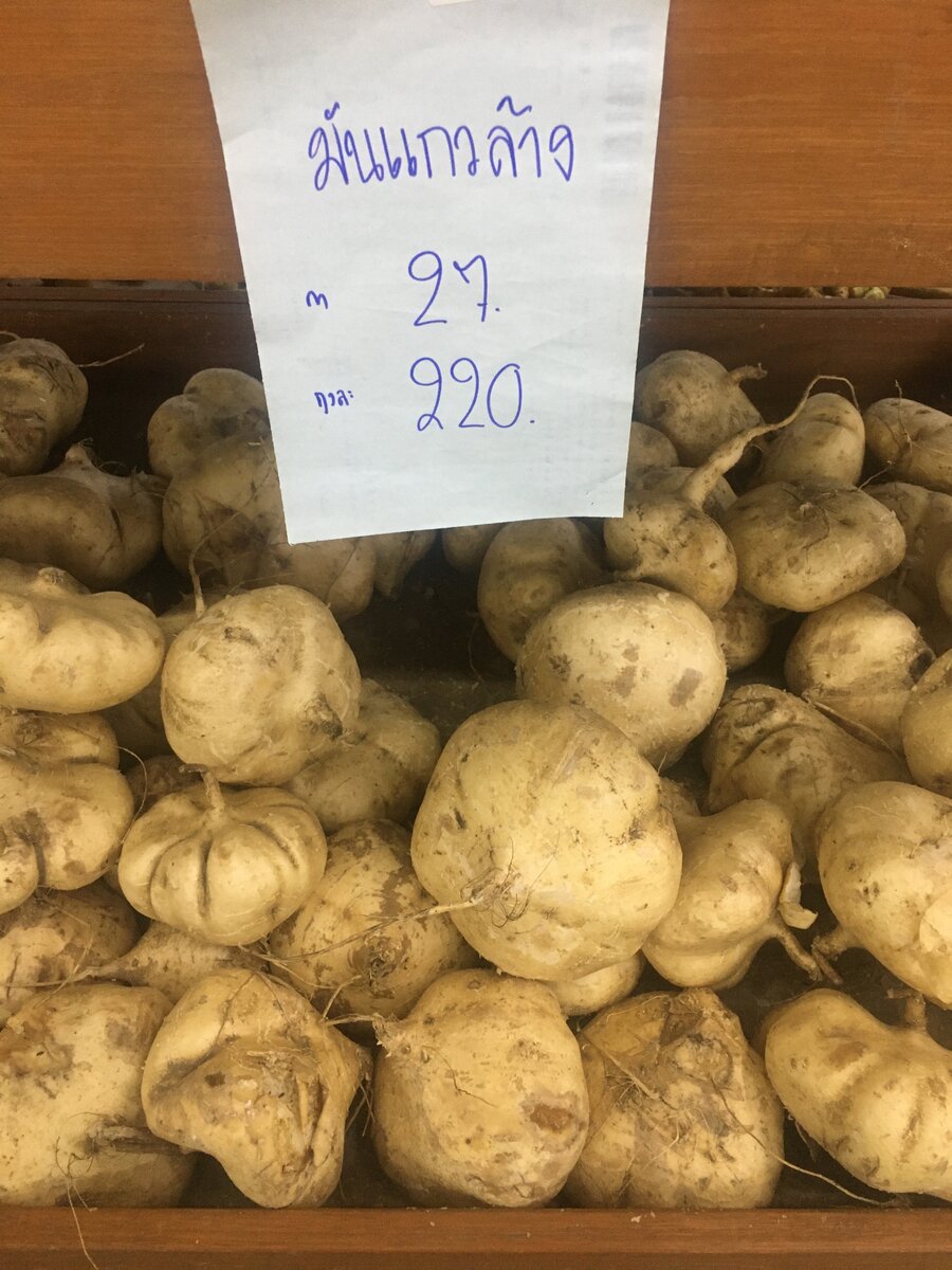 man kaew (yam bean)