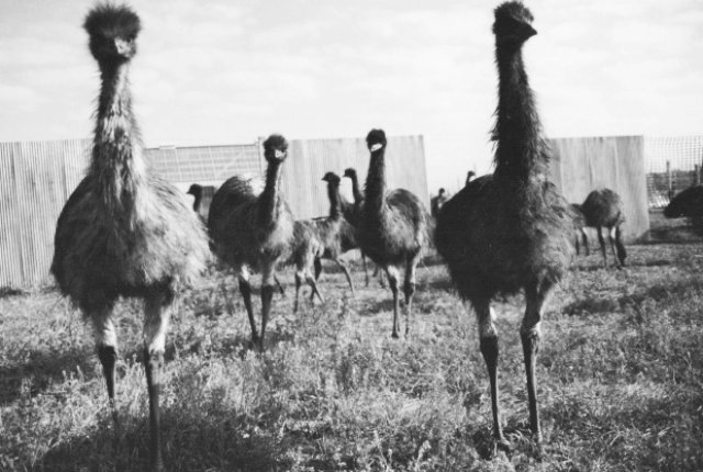 Источник изображения: roughmaps.com