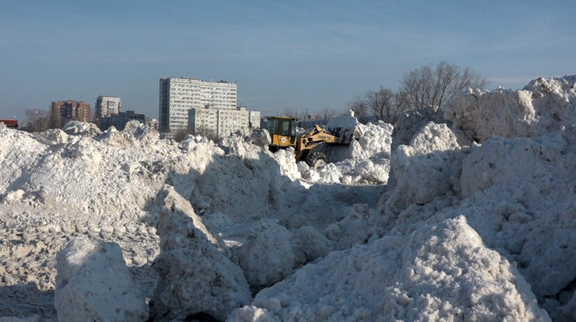 Фото: rostov-gorod.ru