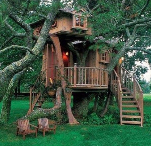 Как выбрать дерево