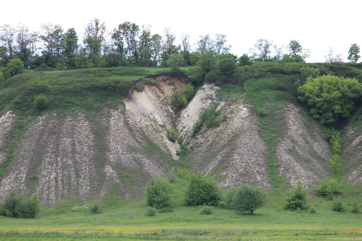 Все фото сделаны автором статьи